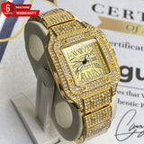 Luxury Cartier - Ladies Watch With Butterfly Master Lock